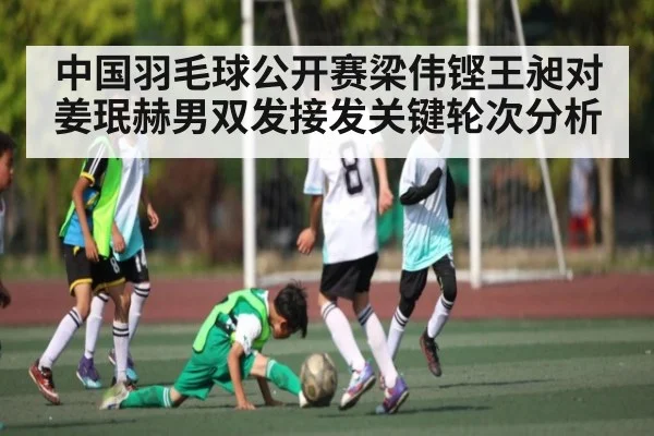 中国羽毛球公开赛梁伟铿王昶对姜珉赫男双发接发关键轮次分析 | kaiyun